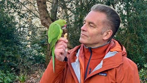 78536_1_Invasion of the Parakeets