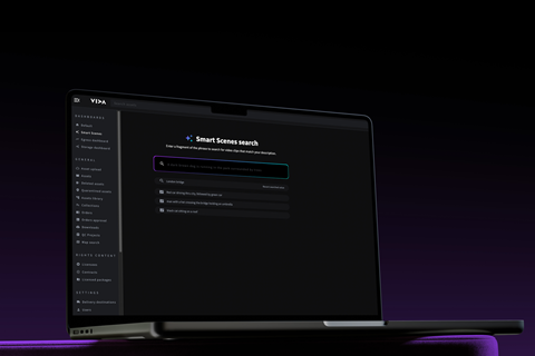 Vida AI Scene Search