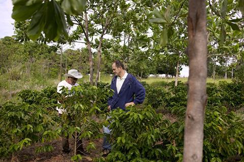 Agroforestry (Shade Coffee)