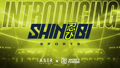 Shinobi Sports
