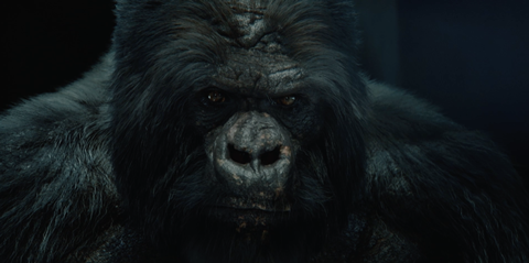 Stags Paramount+ Unit VFX (1)
