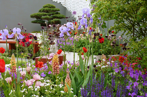 chelsea flower show2