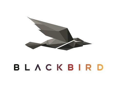 Blackbird