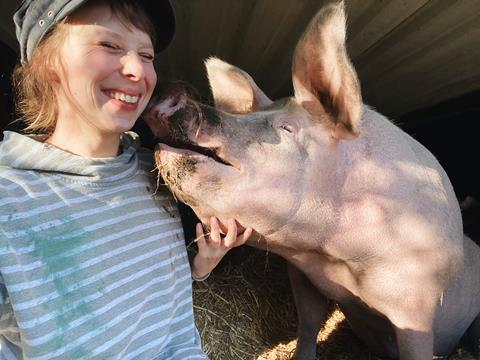 If Pigs Could Talk