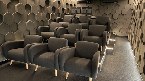 Screening Room at Gravity House