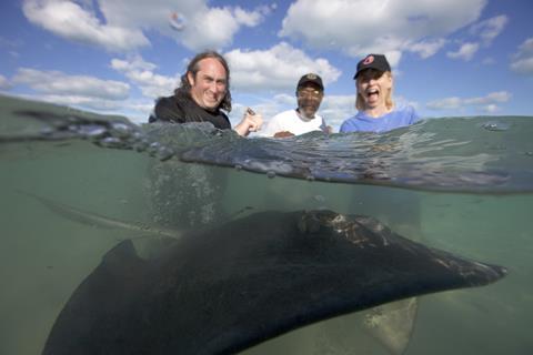 Shark! Celebrity Infested Waters