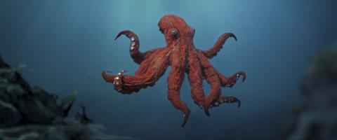 Octopus