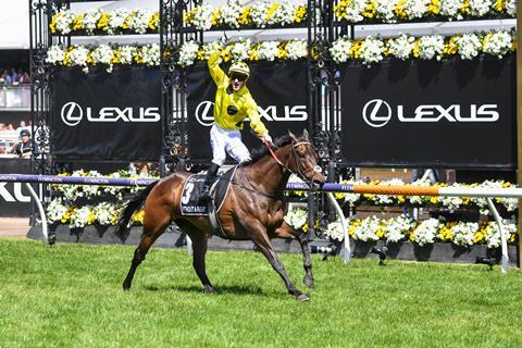 Melbourne Cup horse racing HBA Media (Credit_ Racing Photos)