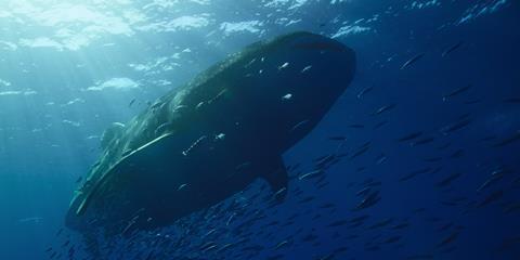 Our_Oceans_S1_E3_00_41_07_13-9990b7-0c383c